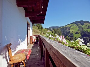 Patio / Balcony