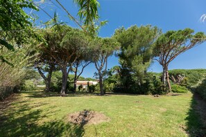 Jardin [été]