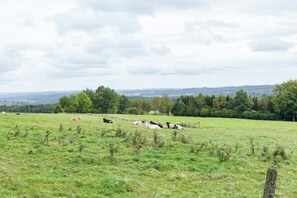 Aussicht vom Ferienhaus [Sommer]