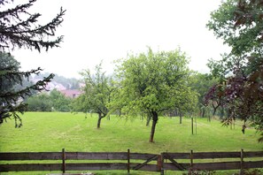 View from Holiday Home [summer]