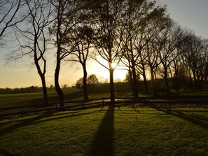 Utsikt från stugan [sommar]