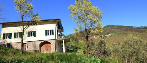 Außenseite Ferienhaus [Sommer]