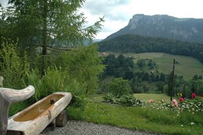 View from Holiday Home [summer]