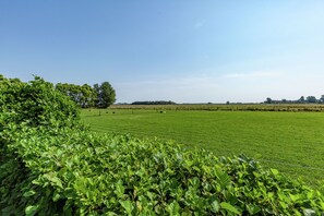 Udsigt fra feriebolig (sommer)	