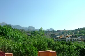 Aussicht vom Ferienhaus [Sommer]