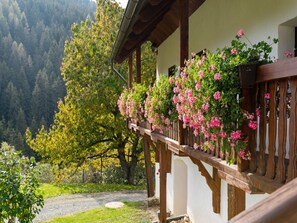 Patio / Balcony