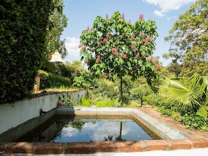 Schwimmbad des Ferienhauses