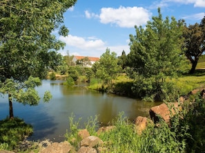 Schwimmbad des Ferienhauses