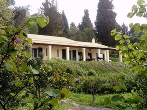 Terrasse / Balkon