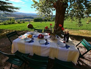 Terrasse / Balkon