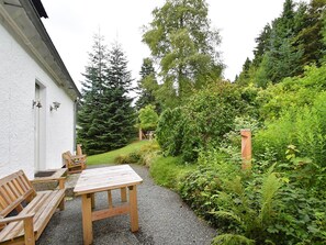 Trädgård [sommar]