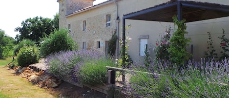 Extérieur maison de vacances [été]