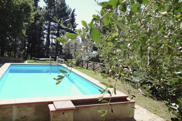 Schwimmbad des Ferienhauses