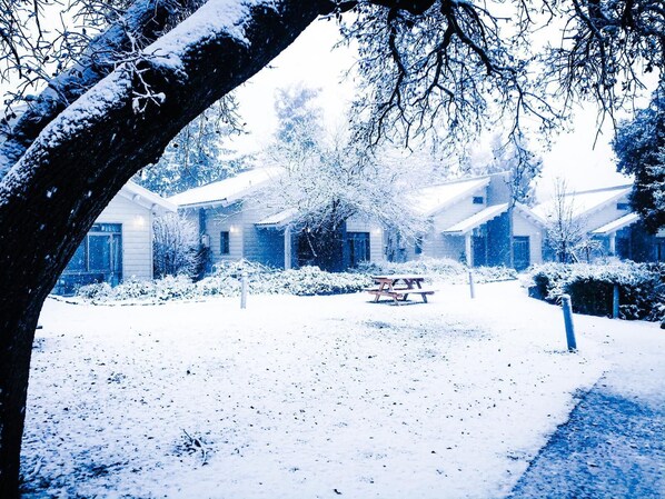 Snöskovandring