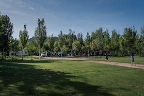 Basketball court