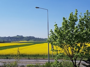 Vue depuis l’hébergement