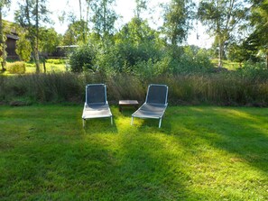 Trädgård