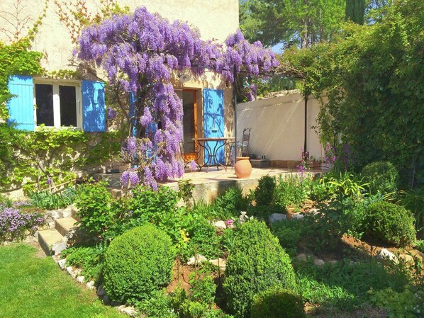 Terrasse / Balkon