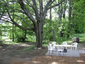Terras