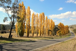 Vandring