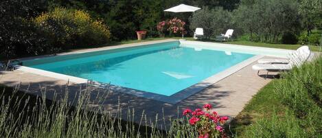 Schwimmbad des Ferienhauses