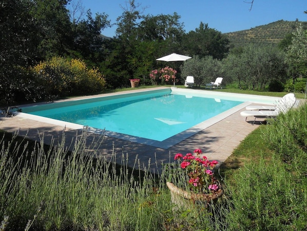 Holiday Home Swimming Pool