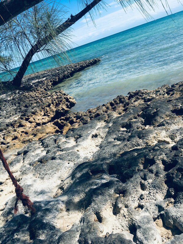 Beach/ocean view