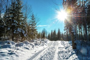 Surroundings [winter] (1-5 km)