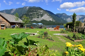Trädgård