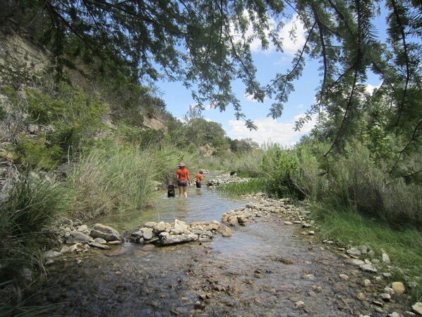 Spring time in the Frio River at Double Dog Cabins.