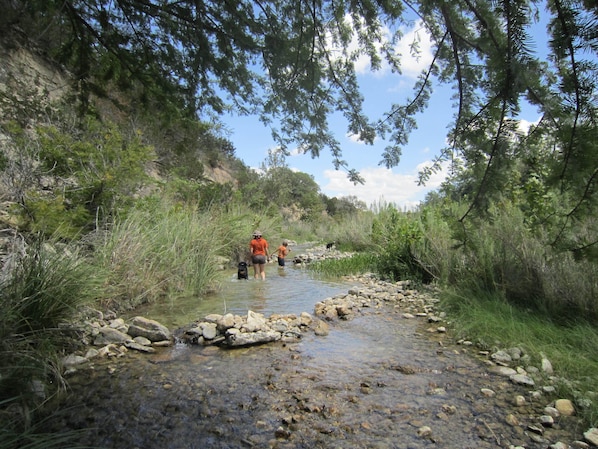 Spring time in the Frio River at Double Dog Cabins.