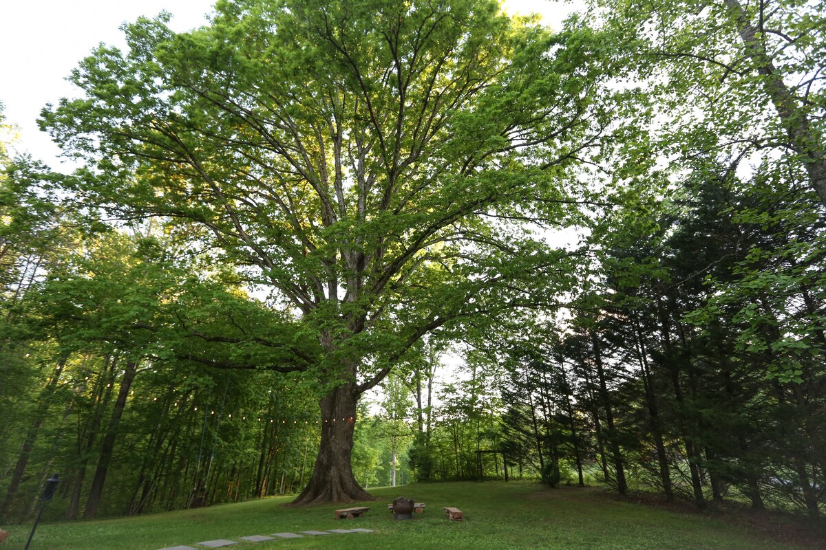 Charlottesville Retreat for Family & Friends