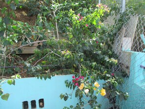 Private Garden