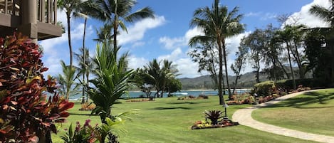 View from Lanai