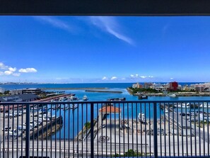 Vista del balcón