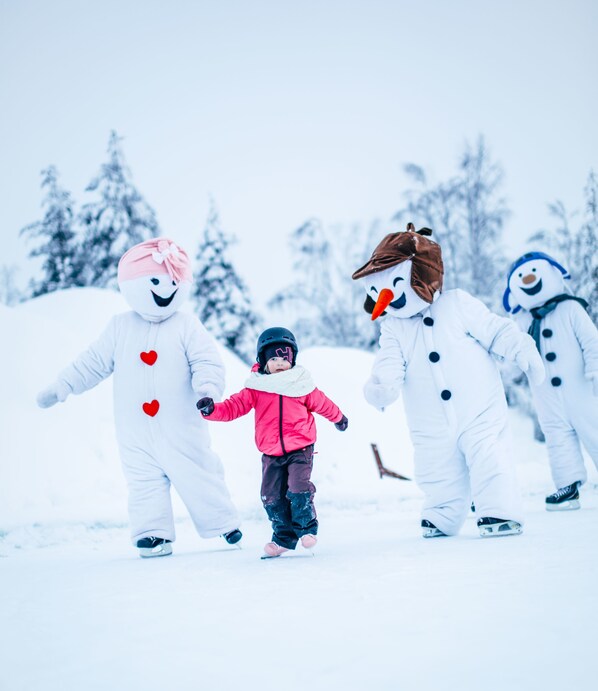 Wintersport/Ski