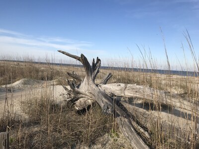 Key Lime Condo, less than 1 block to the beach.  WIFI.  Pet Friendly.