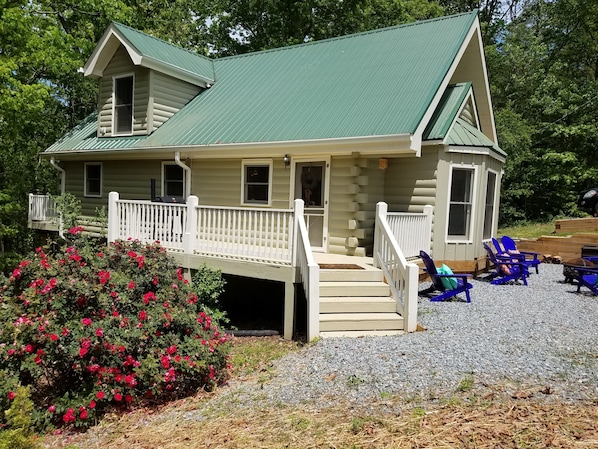 Front side view of cabin with mature cabbage rose bush fully in bloom