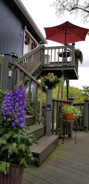 Spring at the Nest! Stairway to the Nest