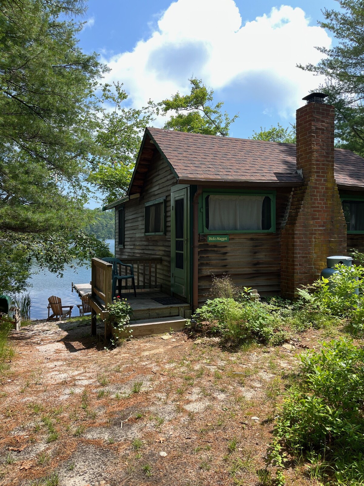 Main Image