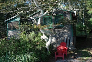 The shore side of the cabin.