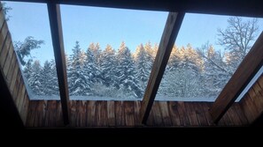 Your view from the bed in the loft bedroom (Owl's Nest) in winter. 