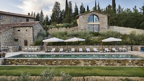 Brand new very large private infinity pool (66 x 13 ft)
