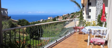 View from the balcony overlooking the valley and the ocean in the distance
