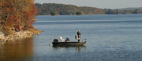 Fishing on Kentucky Lake