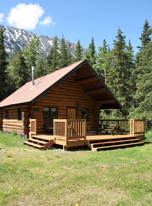 View of the outside of the log cabin.