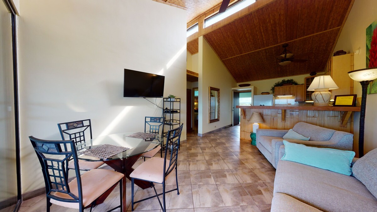Watch the Whales from comfortable penthouse apartment!