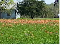 Terrain de l’hébergement 