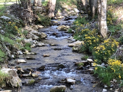 Tranquil Cabin Located Near Gatlinburg, Dollywood, Dixie Stampede And Biltmore