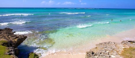 Beach in Front of the Apartment - Low tide and great for a swim 